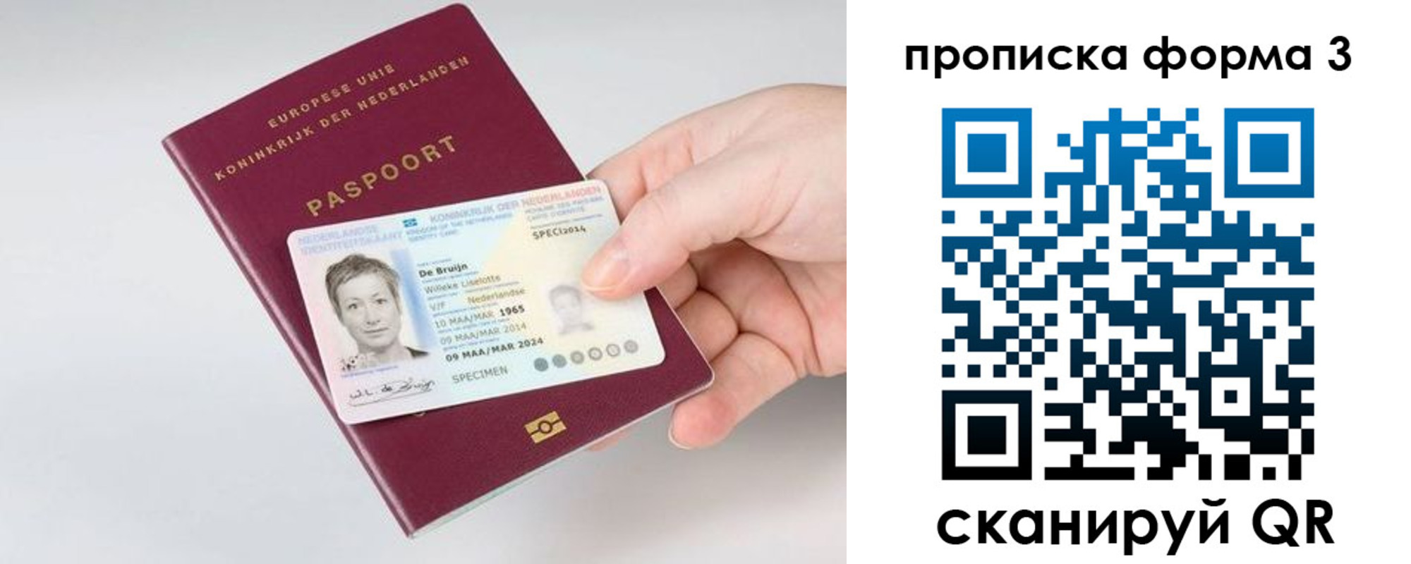 прописка 2025 в Светлом